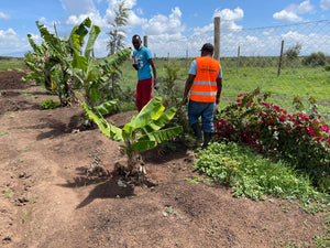 MX Publishing au Kenya - Lycée, arbres et encore des arbres