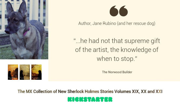 Sherlock Author Profile - Jane Rubino